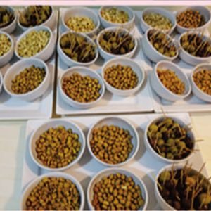 Imagem 60 Eventos Corporativos Meninas Boleiras em Campinas